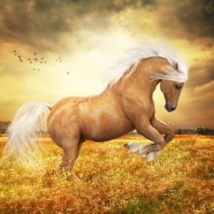 Meet your Posher, Terry